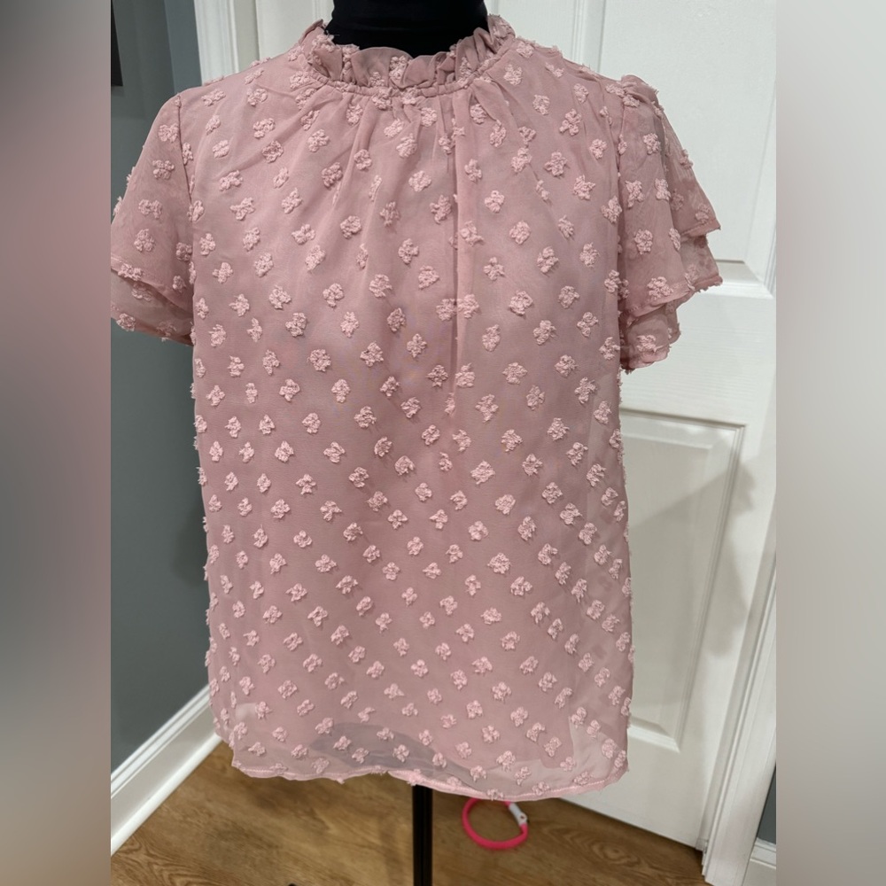 NEW Pink Dotted Swiss Women’s Blouse Size small